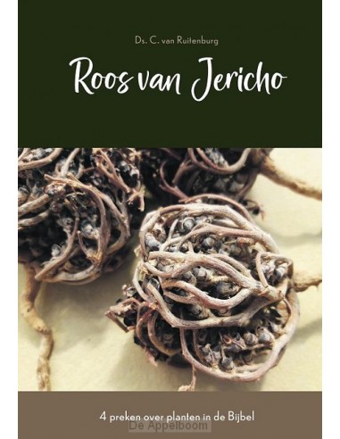 Roos van jericho