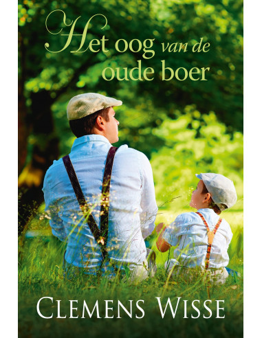 Het oog van de oude boer