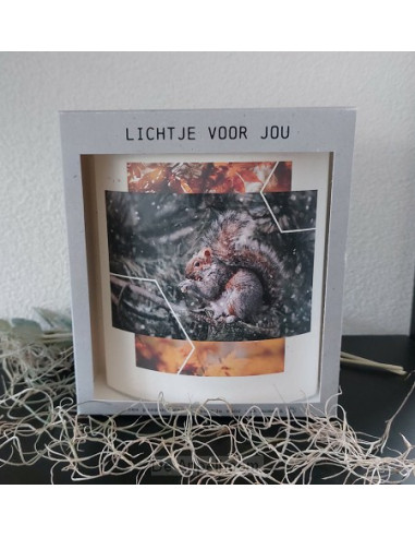 Lichtje voor jou Eekhoorn