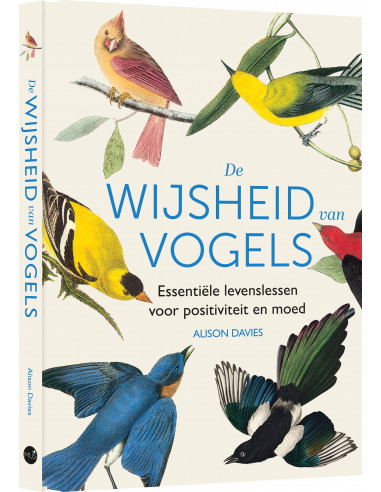 Wijsheid van vogels