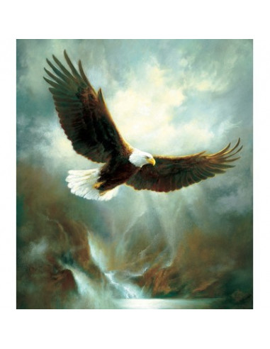 Jigsaw Puzzle 300pcs Eagle Flight 53,3x6