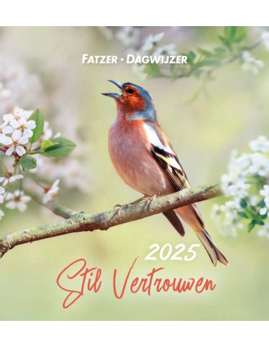 Kalender 2025 sv stil vertrouwen