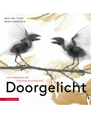 Doorgelicht