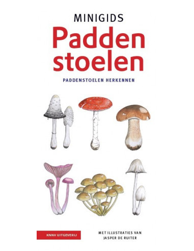 Minigids Paddenstoelen set