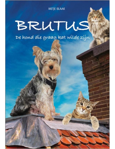 Brutus