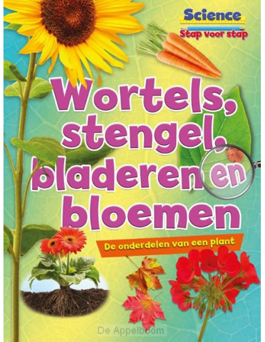 Wortels, stengels, bladeren en bloemen