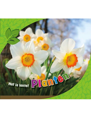 Planten