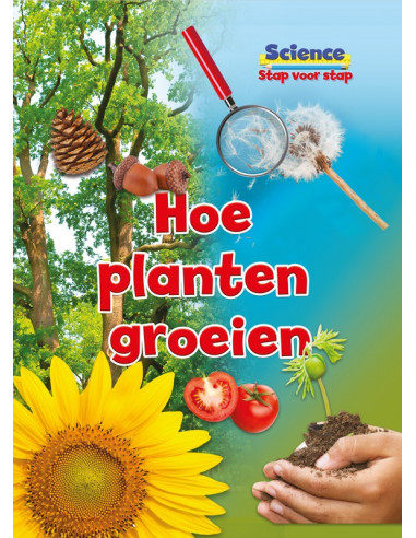 Hoe planten groeien