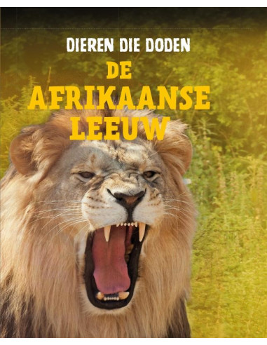 De Afrikaanse leeuw