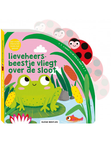 Lieveheersbeestje vliegt over de sloot