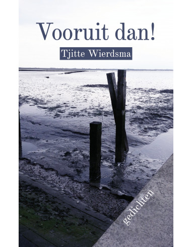 Vooruit dan