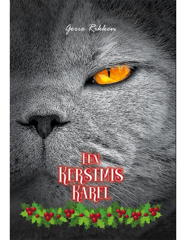 Een Kerstmis Karel