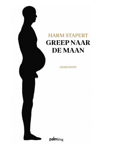 Greep naar de maan