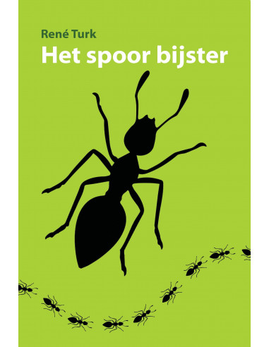 Het spoor bijster