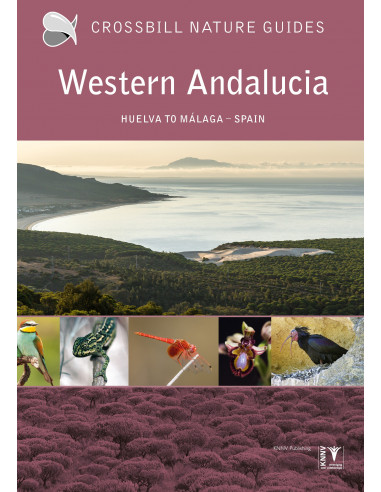 Western Andalucia