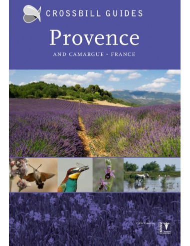 Provence and Camargue