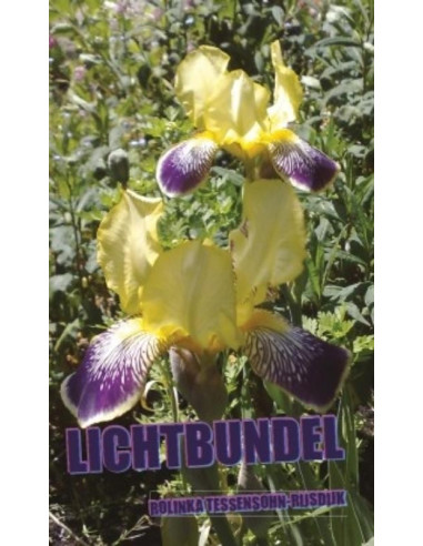 Lichtbundel