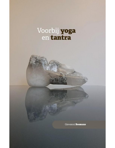 Voorbij yoga en tantra