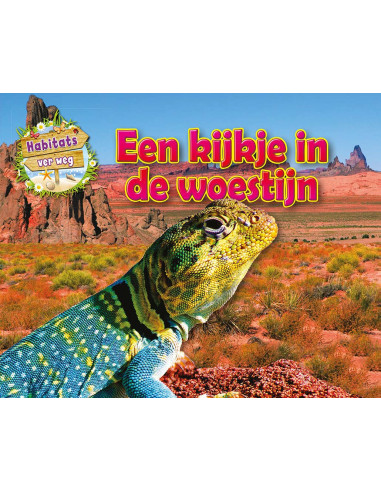 Een kijkje in de woestijn