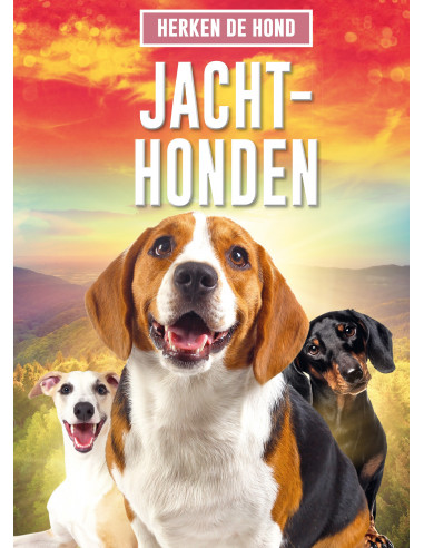 Jachthonden