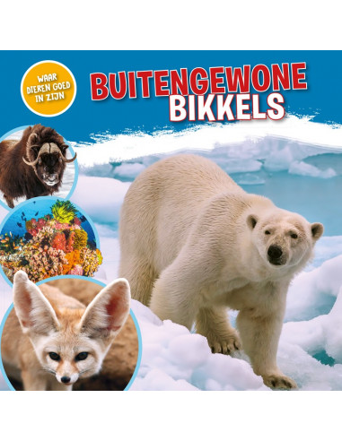 Buitengewone bikkels