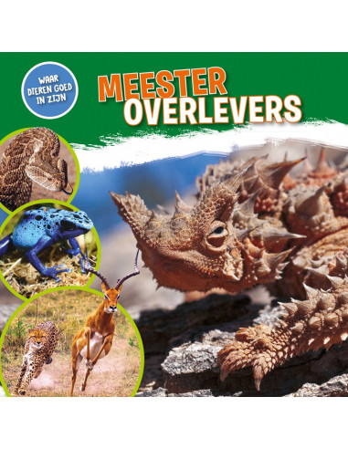 Meesteroverlevers