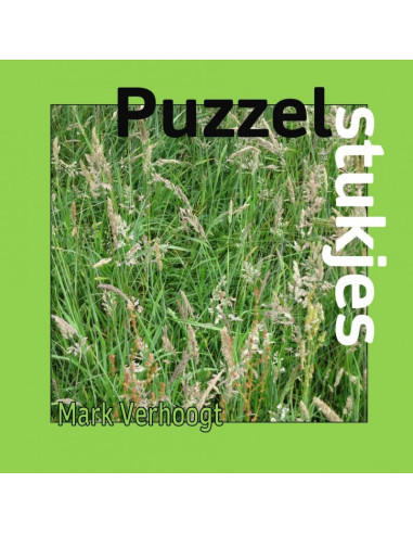 Puzzelstukjes