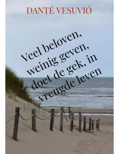 Veel beloven, weinig geven, doet de gek,