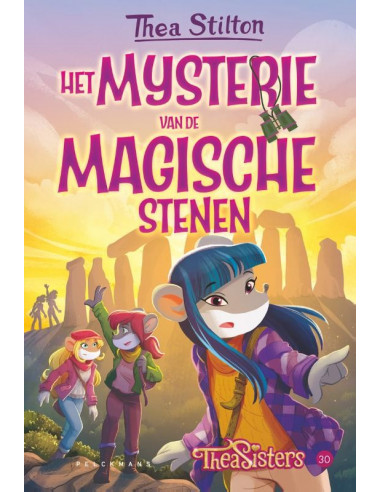 Het mysterie van de magische stenen