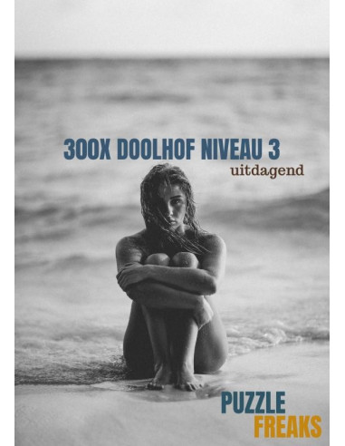 300X DOOLHOF NIVEAU 3