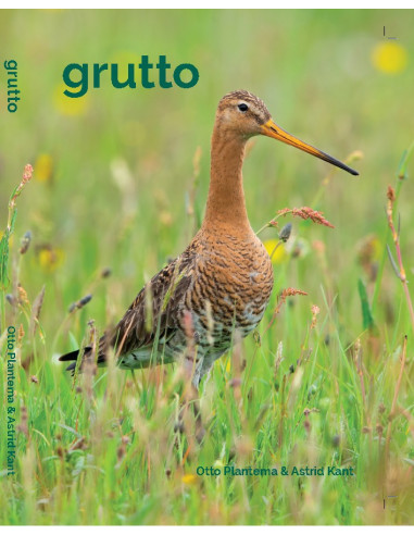 Grutto