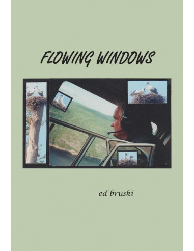 flowing windows