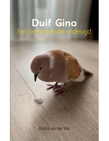 Duif Gino