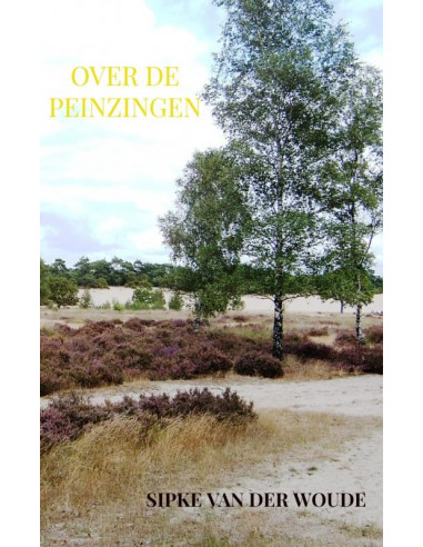 Over de peinzingen