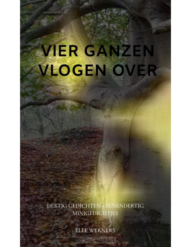 VIER GANZEN VLOGEN OVER