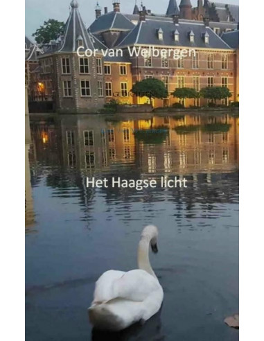 Het Haagse licht