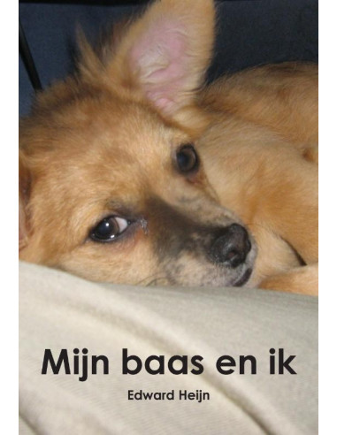 Mijn baas en ik