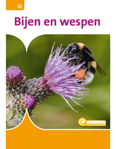 Bijen en wespen