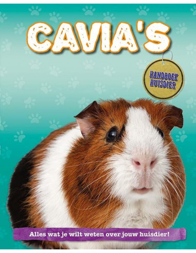 Cavia's