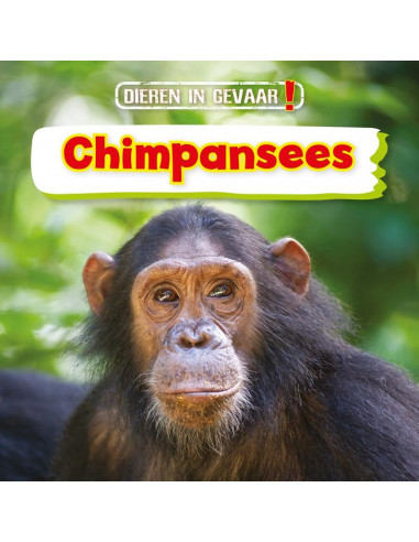 Chimpansees