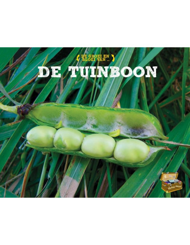 De tuinboon