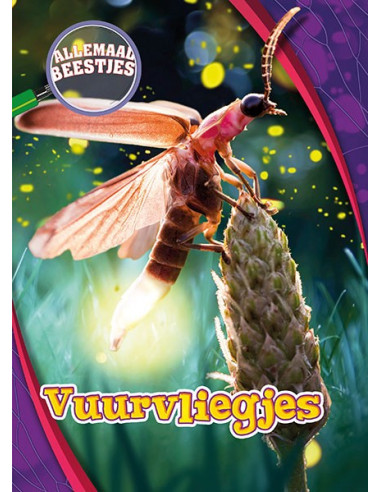 Vuurvliegjes