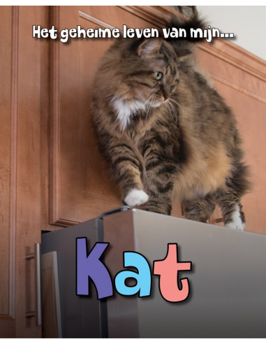 Kat