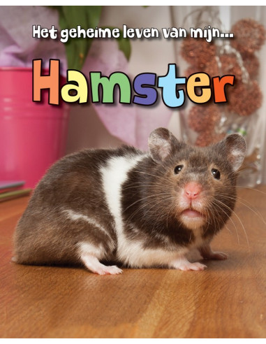 Hamster