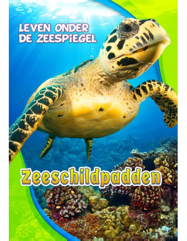 Zeeschildpadden