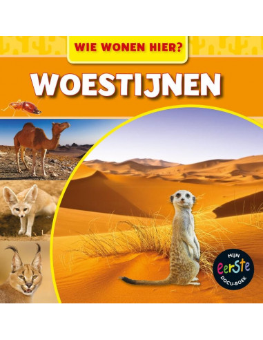 Woestijnen