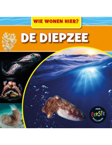 De diepzee