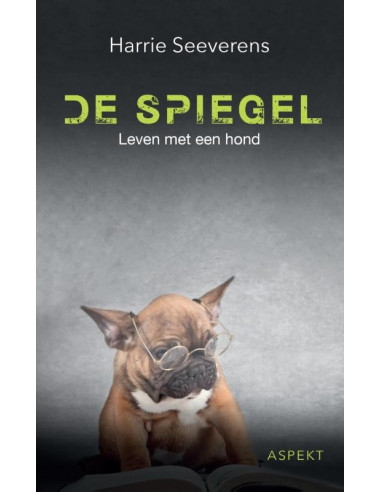 De Spiegel