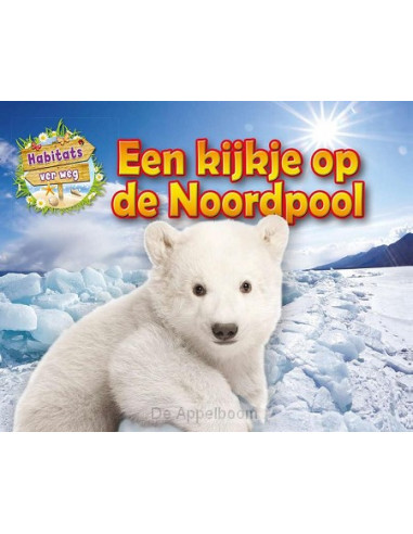 Een kijkje op de Noordpool