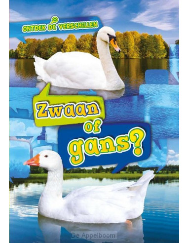 Zwaan of gans?